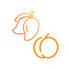 Mango & Peach Bundle of 12